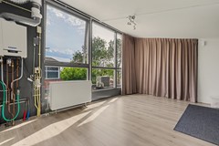 39_S_GRAVENDEEL_3295_PE_Dagpauwoog_7.JPG