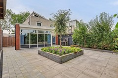 46_S_GRAVENDEEL_3295_PE_Dagpauwoog_7.JPG