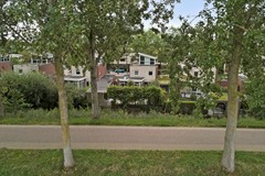 50_S_GRAVENDEEL_3295_PE_Dagpauwoog_7.jpg