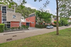 04_S_GRAVENDEEL_3295_PE_Dagpauwoog_7.JPG