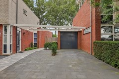 06_S_GRAVENDEEL_3295_PE_Dagpauwoog_7.JPG