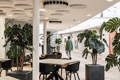 Huur:Arlandaweg 92, 1043 EX Amsterdam - Foto