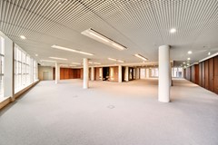 20250425_081822320_iOS - kopie.jpg