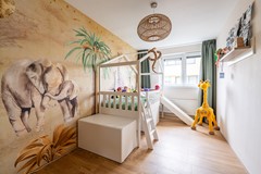 Louise Hardenbergsingel 9 - Leiden (31).jpg