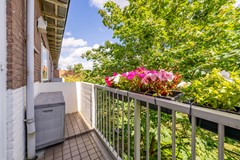 Scholtenstraat 66 Leiden (16).jpg