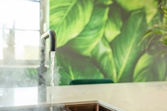 Hollandse Tuin 20 - 30.jpg