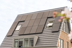 Hollandse Tuin 20 - 84.jpg