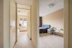 Vliegend hert 27, Oegstgeest-27.jpg