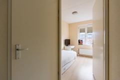 Vliegend hert 27, Oegstgeest-28.jpg