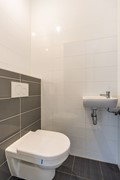 Vliegend hert 27, Oegstgeest-37.jpg