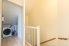 Vliegend hert 27, Oegstgeest-38.jpg