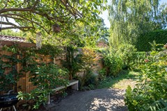 Fotoreportage - 27.jpg