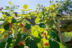 Fotoreportage - 30.jpg
