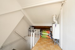 Fotoreportage - 42.jpg