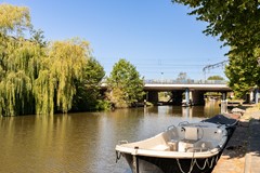 Fotoreportage - 66.jpg