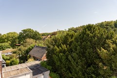 Fotoreportage - 49.jpg