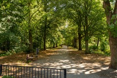 Fotoreportage - 53.jpg