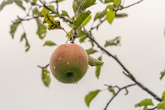 Fotoreportage - 38.jpg