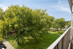 Noteneeweg514535atTerneuzenNL-37.jpg