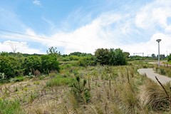 Galileistate 165_39.jpg