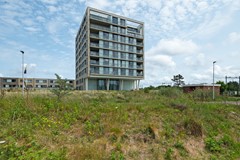 Galileistate 165_06.jpg