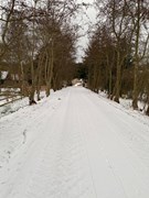 szn 1201 weggetje sneeuw IMG_0803.jpeg