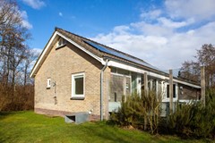 Zonnester08.jpg