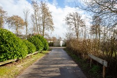 Zonnester24.jpg