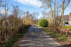 Zonnester28.jpg