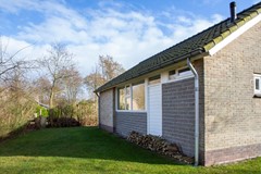 Zonnester29.jpg