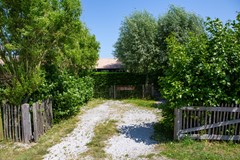 2T2B9504.jpg