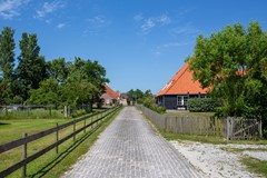 2T2B9502.jpg