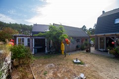 IMG_9017.jpg