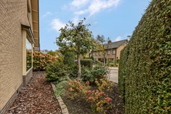 Rienderstein 11 Ede-35.jpg