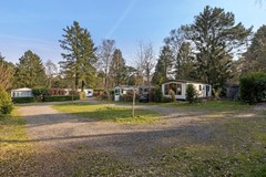 _V0A1477.jpg