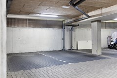 _V0A5598.jpg