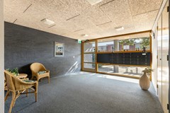 _V0A8532.jpg