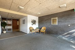 _V0A8535.jpg