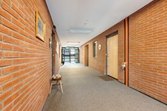_V0A8523.jpg