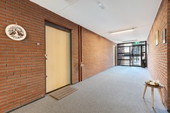 _V0A8520.jpg