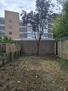 WhatsApp Image 2025-07-15 at 14.56.48.jpeg