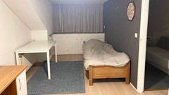 WhatsApp Image 2025-09-08 at 05.24.23 (1).jpeg