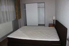 41024883_Wildforster5.jpg