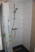 41024753_Wildforster3.jpg