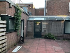 IMG_3264.jpeg