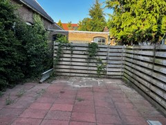 IMG_3263.jpeg