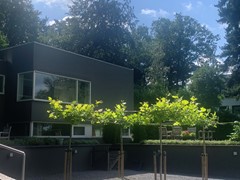 Weg Langs Het Hazegrietje 21A2, 6821JZ Arnhem
