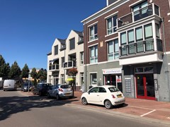 IMG_7477.JPEG