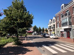 IMG_7479.JPEG