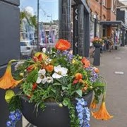 New for sale: Transvaalstraat 8, 1521 GD Wormerveer